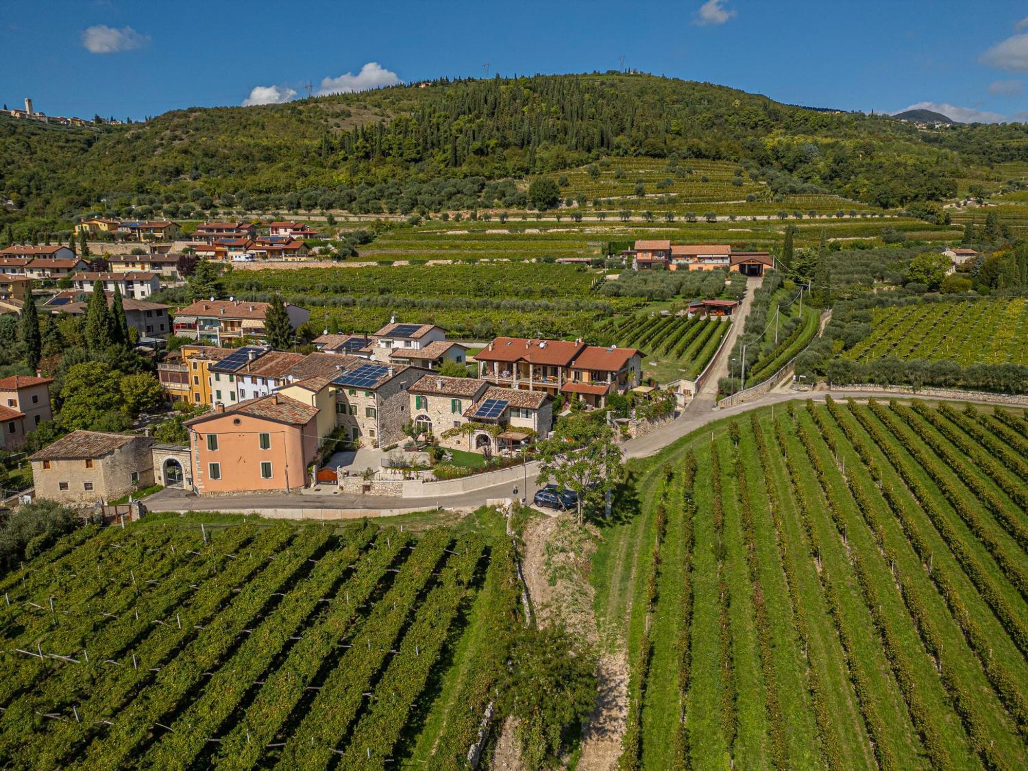Corte Formigar SantʼAmbrogio di Valpolicella Kültér fotó