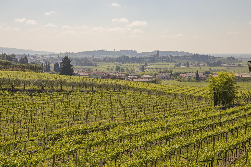 Corte Formigar SantʼAmbrogio di Valpolicella Kültér fotó